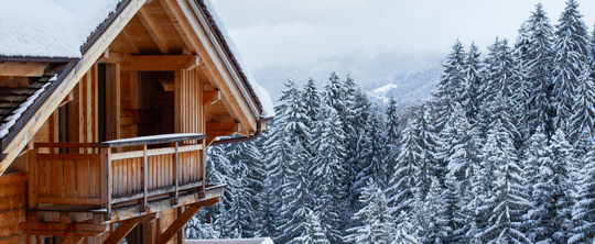 Snowy cabin with snowy trees in the background